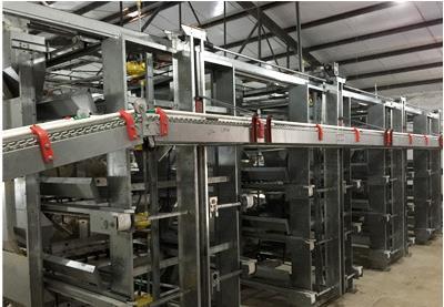 哪里有自動撿蛋機(jī)廠商 讓撿蛋變得很容易