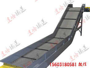 輸送機(jī)生產(chǎn)廠家供應(yīng) 機(jī)械配件生產(chǎn)鏈板輸送機(jī) 移動式鏈板輸送機(jī)價格